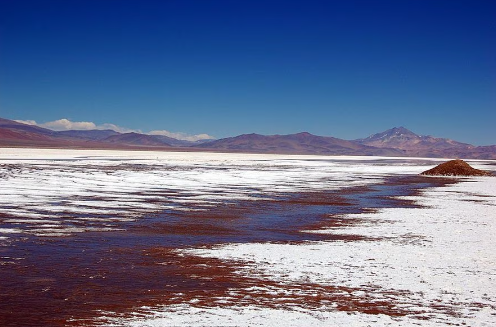 El próximo paso de Codelco en el litio del salar de Maricunga: buscar un socio