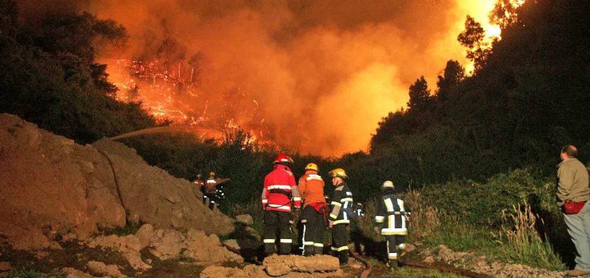 56% de los incendios investigados por Conaf en Biobío fueron intencionales