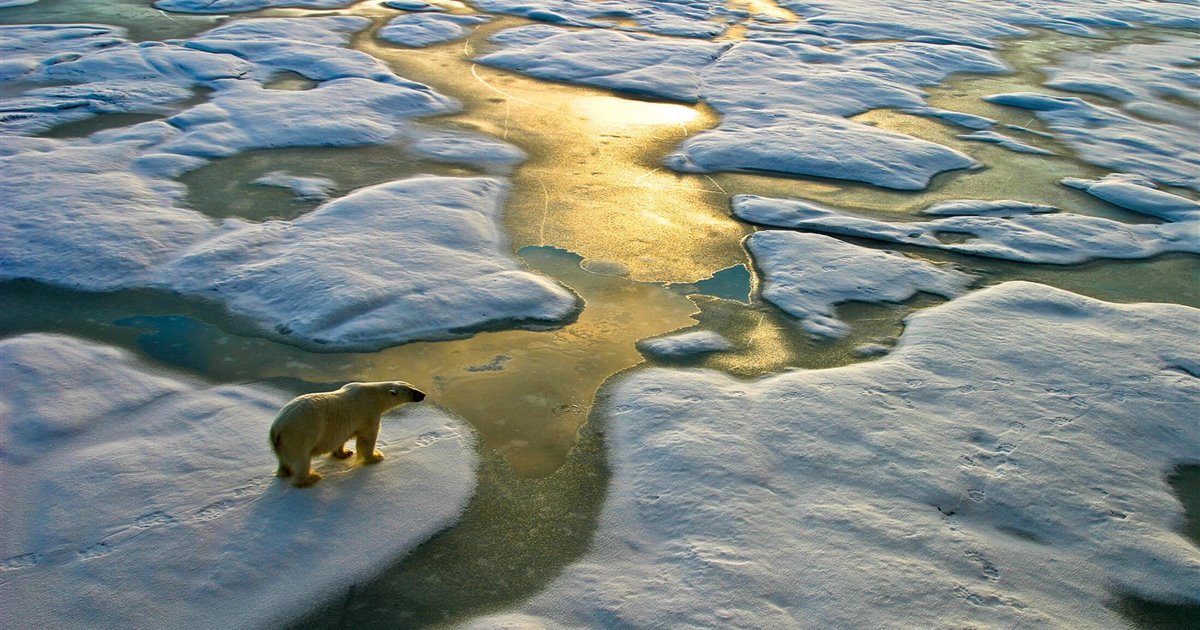 Día Internacional contra el Cambio Climático: los 3 récords que se convirtieron en una nueva normalidad