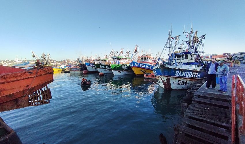 Contra GNL: Municipio de Talcahuano y pescadores artesanales evalúan acciones en Tribunal Ambiental