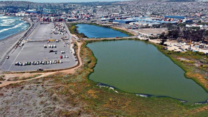 Entregan propuesta de acuerdo para declarar humedal urbano a lagunas Ojos de Mar de Llolleo