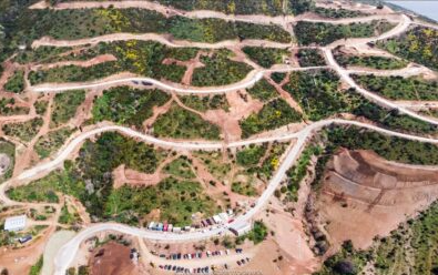 Mirador Punta Pite: a 20 años de la aprobación del proyecto inmobiliario que amenaza al bosque esclerófilo de Papudo