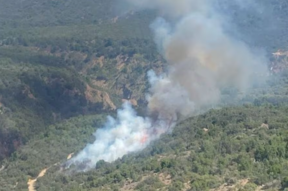 Alerta Roja en Machalí por incendio en la Reserva Nacional Río Cipreses