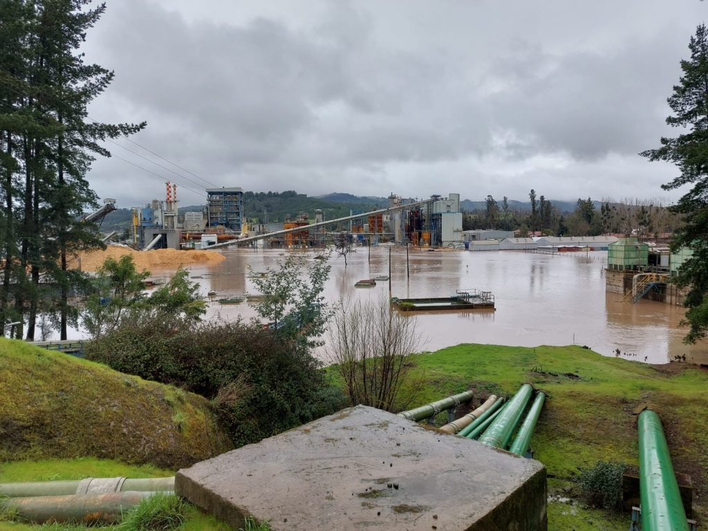 Licancel: La planta de Arauco con 700 trabajadores que cerró por extrema variabilidad climática