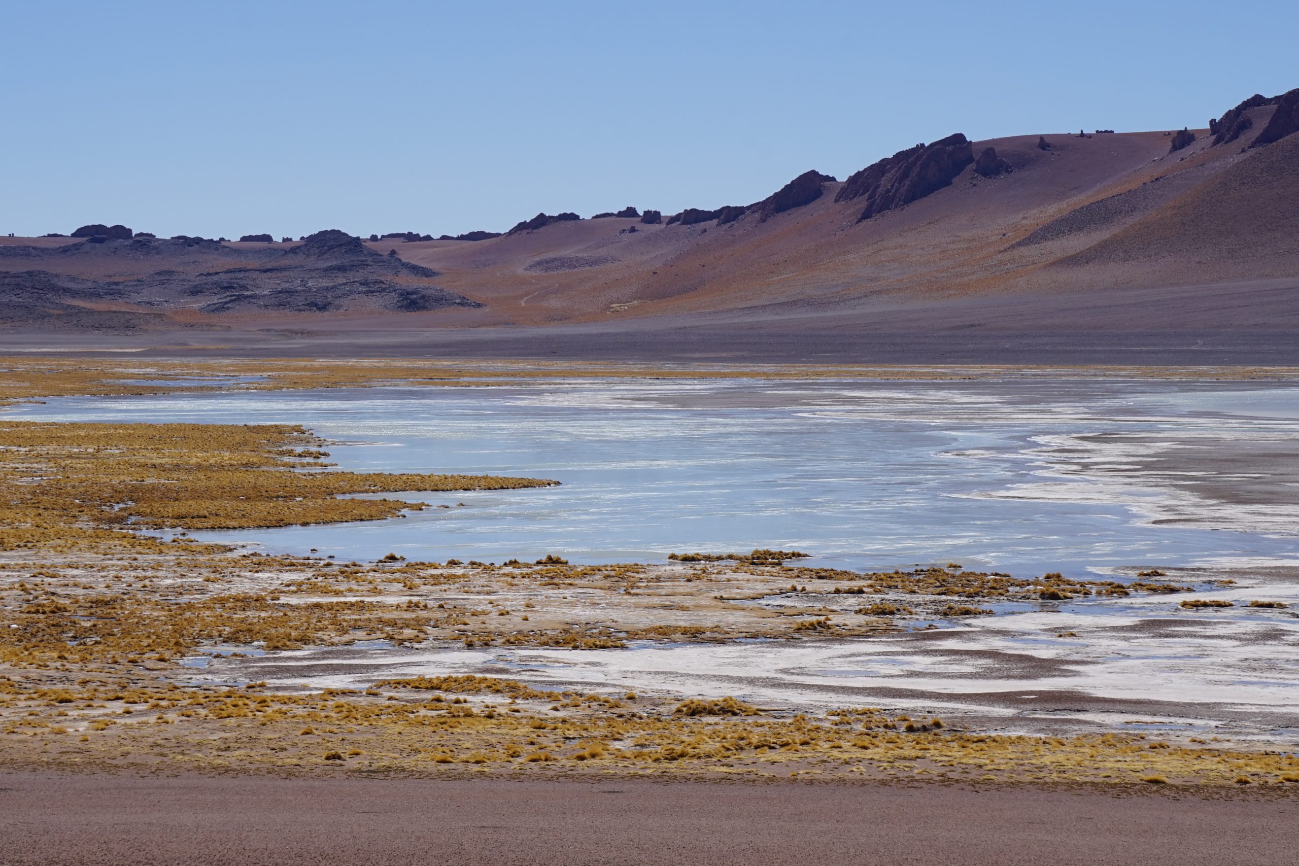 La desprotección de los salares de San Pedro de Atacama: las concesiones mineras que amenazan su conservación