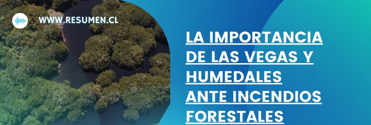 Documental: “La Importancia de las Vegas y Humedales ante Incendios Forestales”