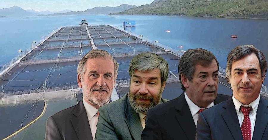 Poderosos directores: el quién es quién en la polémica industria salmonera en Chile