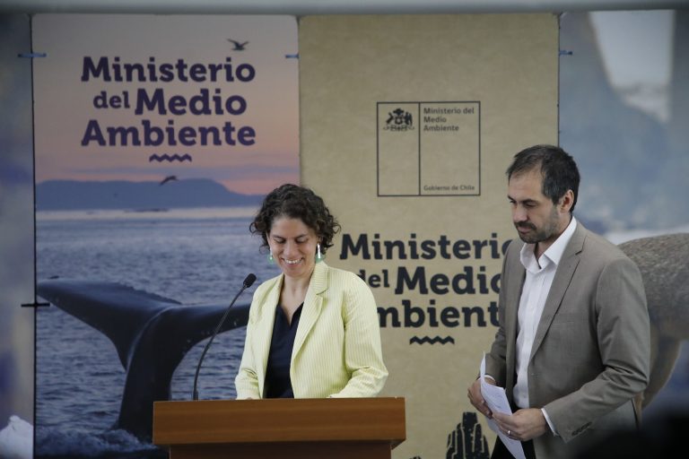 “Lleve su ‘Chile verde’”: balance medioambiental de Terram critica venta de recursos naturales por parte del Gobierno