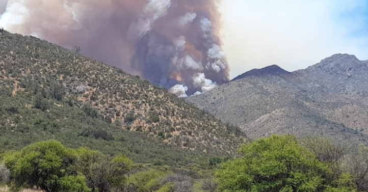 Incendio forestal en Quilpué: suben a 1.900 hectáreas arrasadas y sigue Alerta Amarilla en Marga Marga