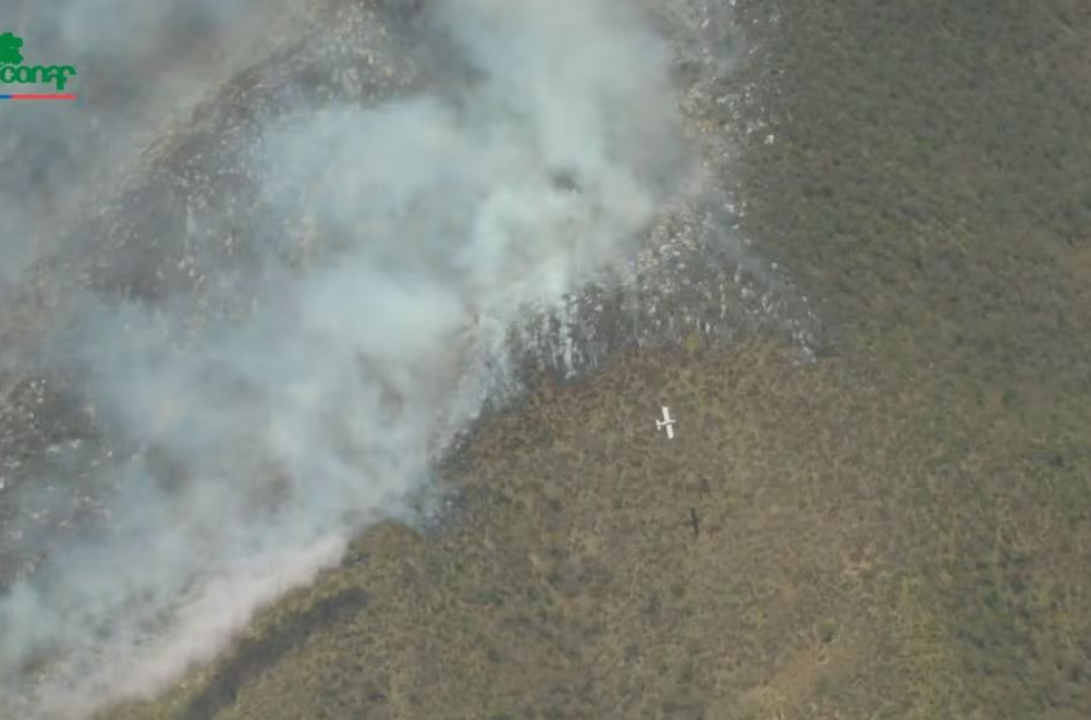 Incendios forestales: Senapred reporta tres siniestros en combate y ocho controlados