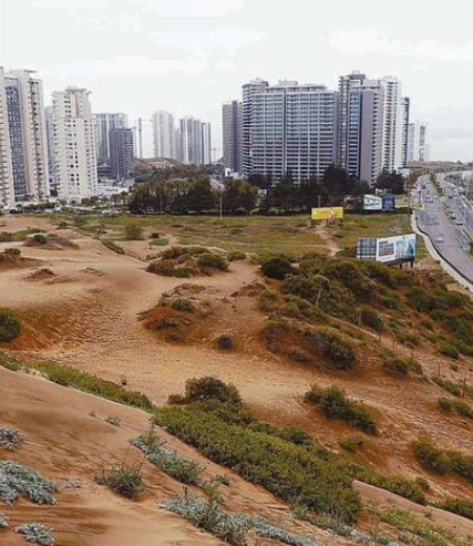 Dunas de Concón y Viña del Mar: Presentan demanda contra proyecto por daño ambiental