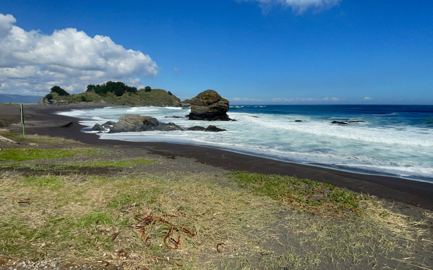 Declaran Santuario de la Naturaleza a la Desembocadura del río Biobío