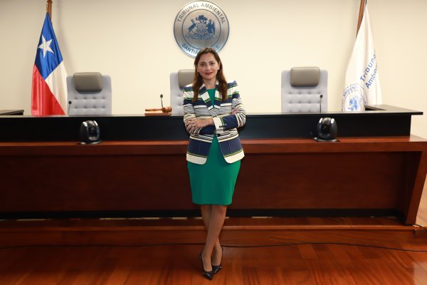 Marcela Godoy, presidenta del Segundo Tribunal Ambiental: “Uno de los puntos de mi gestión es hacer un trabajo en el tema de las conciliaciones”