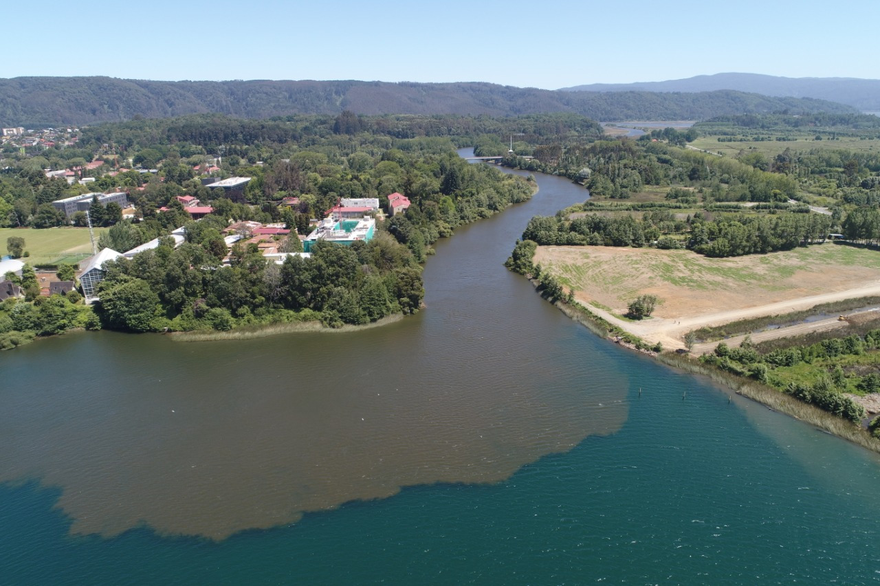 Consejo de Ministros analizará la norma que protegerá las aguas de del río Valdivia