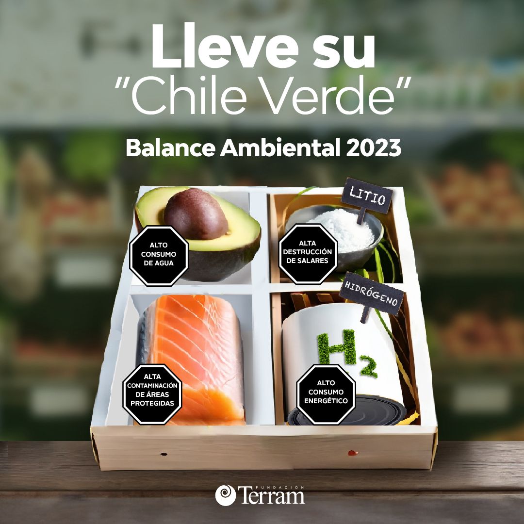 Balance Ambiental Fundación Terram 2023: Lleve su “ChileVerde” – De las promesas al desarrollismo verde del Gobierno