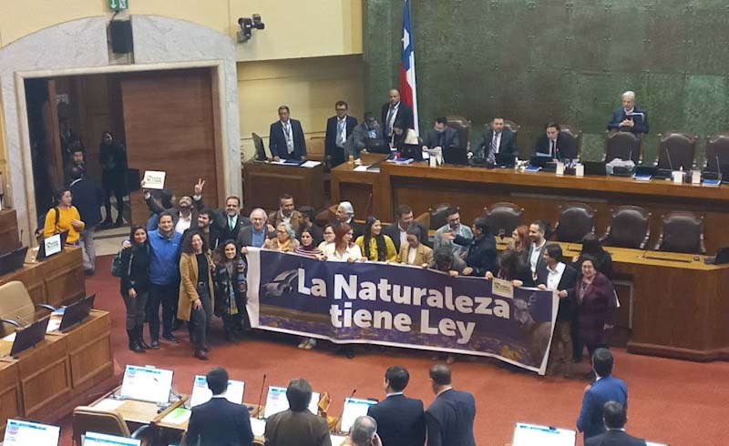 La actualidad de los proyectos de ley en materia ambiental que avanzaron este año en el Congreso