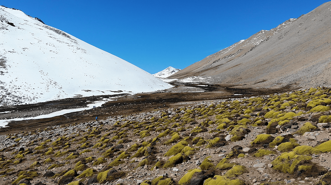 Declaran a 14 mil hectáreas de Monte Patria como Santuario de la Naturaleza