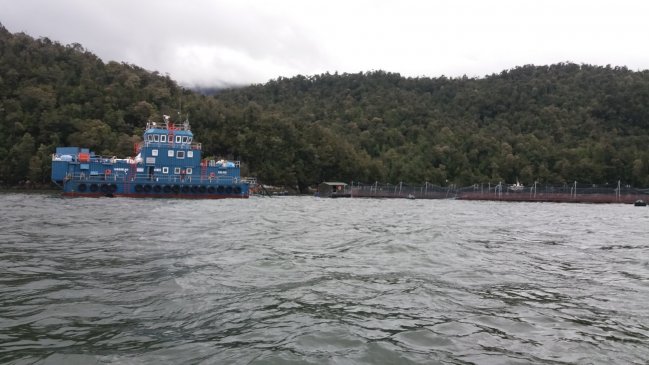 Gobierno alcanzó acuerdo con salmoneras para proteger los parques nacionales