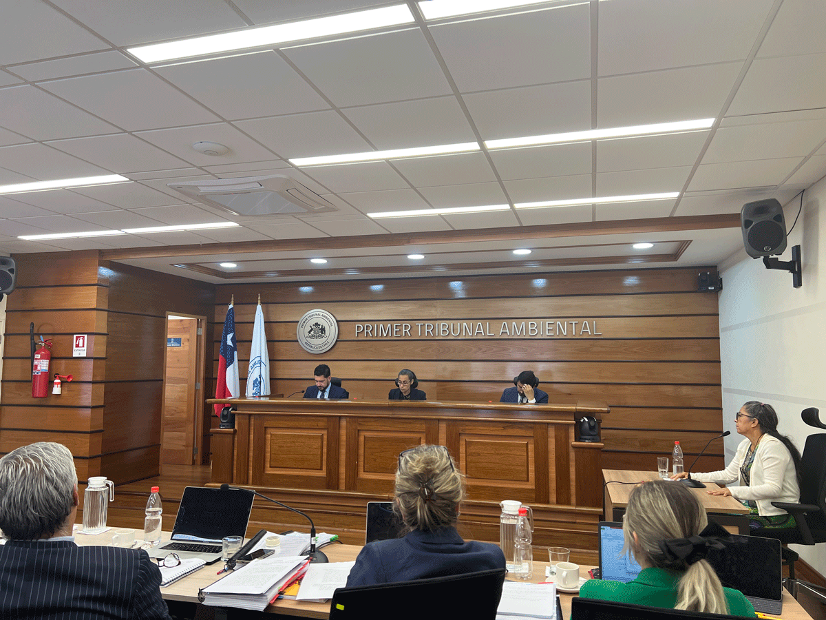 Se realizó audiencia de prueba por la demanda de daño ambiental en contra de Minera Los Pelambres y Antofagasta Mineral S.A.
