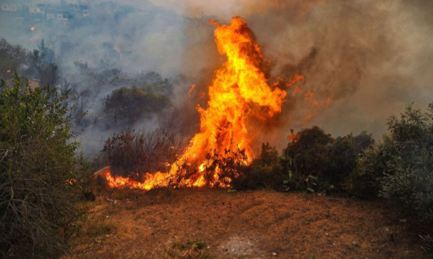 Medio ambiente: superficie con vegetación afectadas por incendios forestales tuvo una variación del 156% entre las dos últimas temporadas
