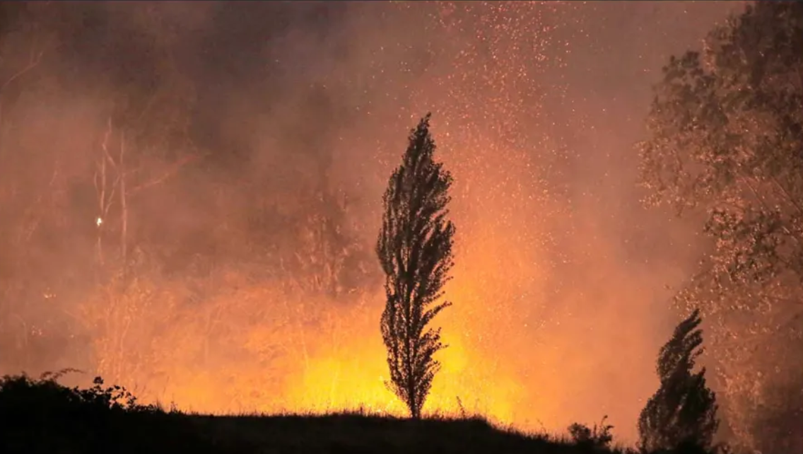 Costo económico de los incendios forestales del verano 2023 alcanzó los US$ 1.300 millones
