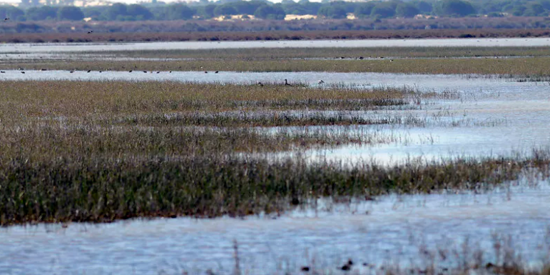 La sequía que no se ve: los acuíferos se están agotando a un ritmo inaudito