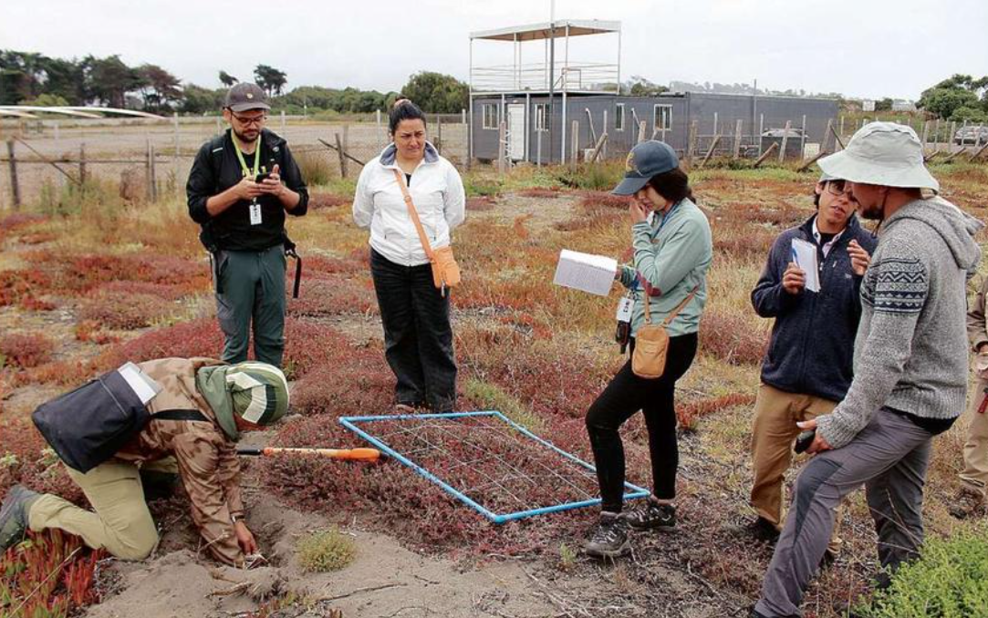 Avanza declaración de humedal urbano de Ojos de Mar: demarcan zona de protección