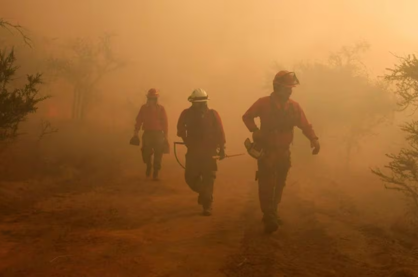 Incendio forestal en Puerto Montt ha consumido 804 hectáreas