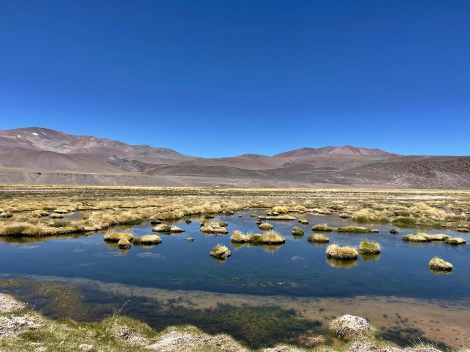 DGA sanciona a Minera Peñoles por extracción no autorizada de aguas y CleanTech Lithium por no entregar información relativa a pruebas en Laguna del Negro Francisco