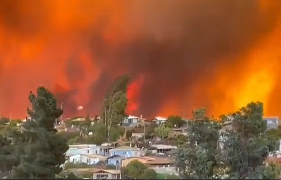 Cambio climático y modelo forestal vuelven al debate ante primera ola de calor en Chile
