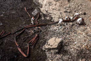 Ecocidio: ¿qué es y por qué podría considerarse un delito internacional?