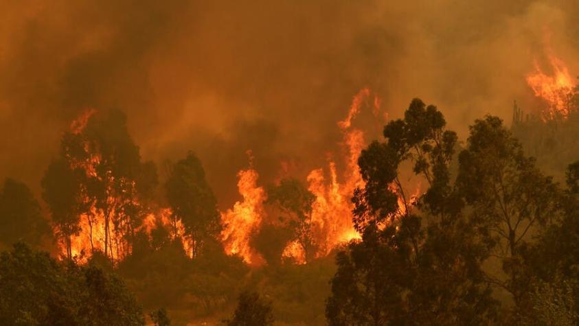 Lecciones de los incendios forestales: la eterna espera de una sólida planificación territorial
