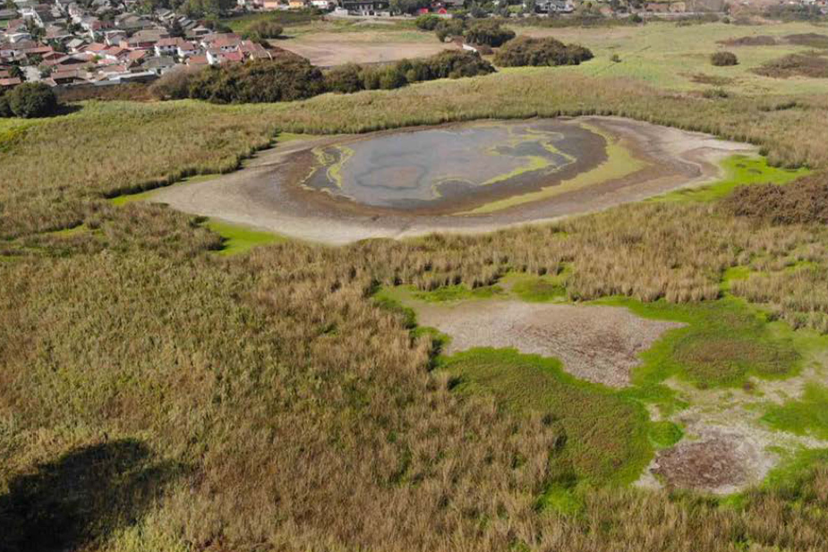 Tribunal Ambiental rechazó reclamaciones por Humedal Price