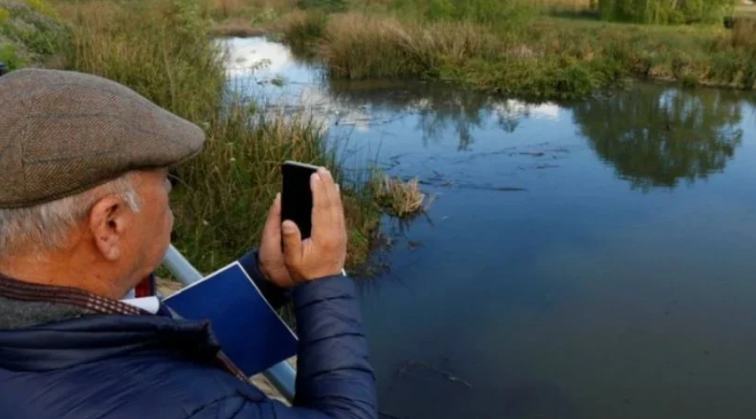 Concepción: Tribunal Ambiental anuló parcialmente declaratoria del Ministerio del Medio Ambiente del Humedal Urbano Paicaví-Tucapel