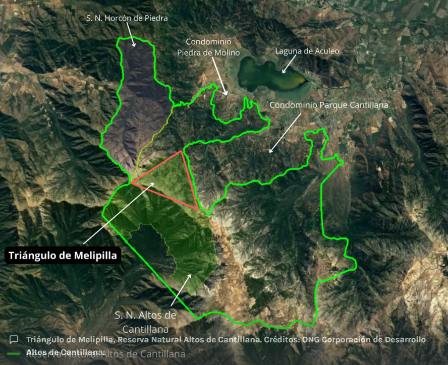 Inmobiliarias amenazan la biodiversidad del Santuario de la Naturaleza Altos de Cantillana