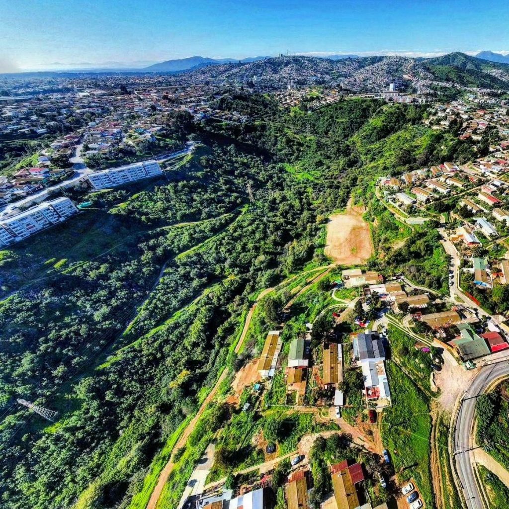 Incendios de Viña del Mar quemaron humedales urbanos todavía no reconocidos por el Ministerio de Medio Ambiente