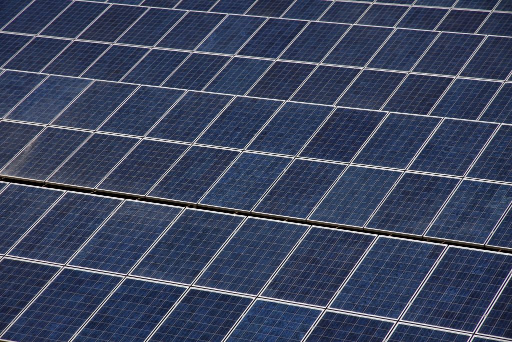 Paneles en vez de cultivos: Colbún en alerta por proyectos de energía solar en suelos agrícolas