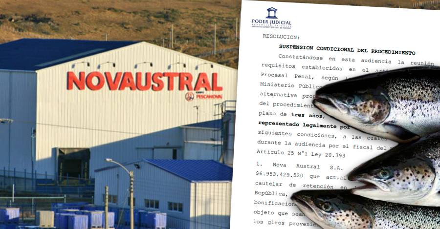 Organizaciones ambientales acusan que el Ministerio Público prepara perdonazo multimillonario para Nova Austral