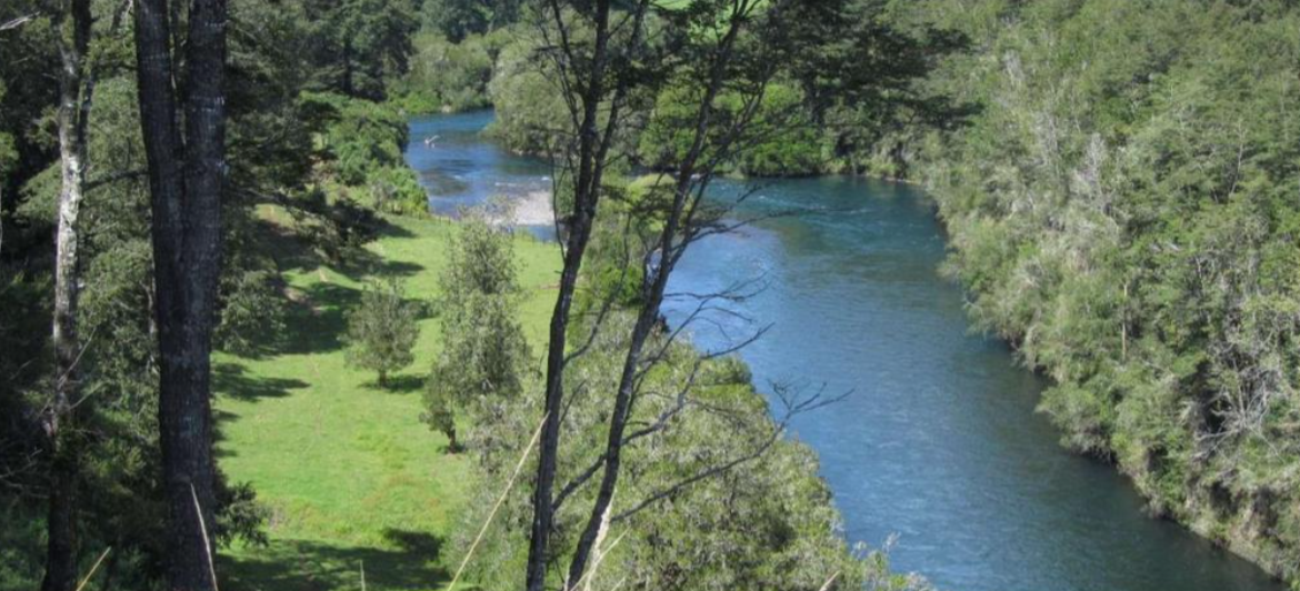 Parcelaciones: una amenaza a la biodiversidad y corredores verdes naturales en la Región