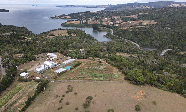 Cinco miradas sobre las causas y la forma de enfrentar la severa crisis hídrica en la Región de Los Lagos