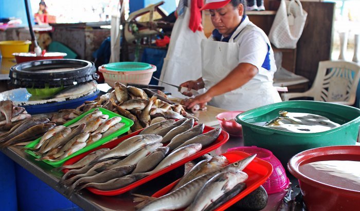 Enfoque de género en caletas pesqueras: Sala deberá pronunciarse