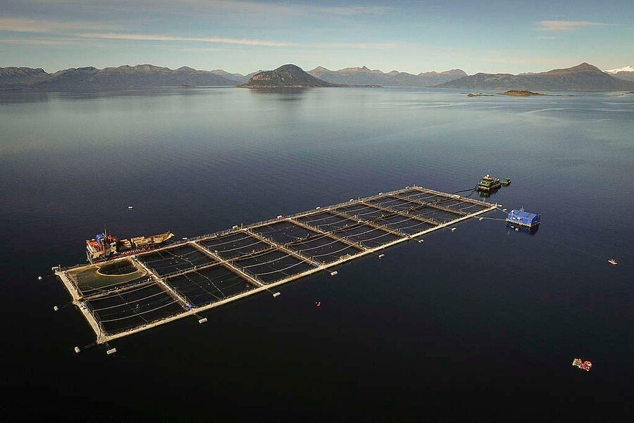 Corte de Valdivia da la razón a la SMA: Nova Austral enfrenta multa por alteración artificial del fondo marino