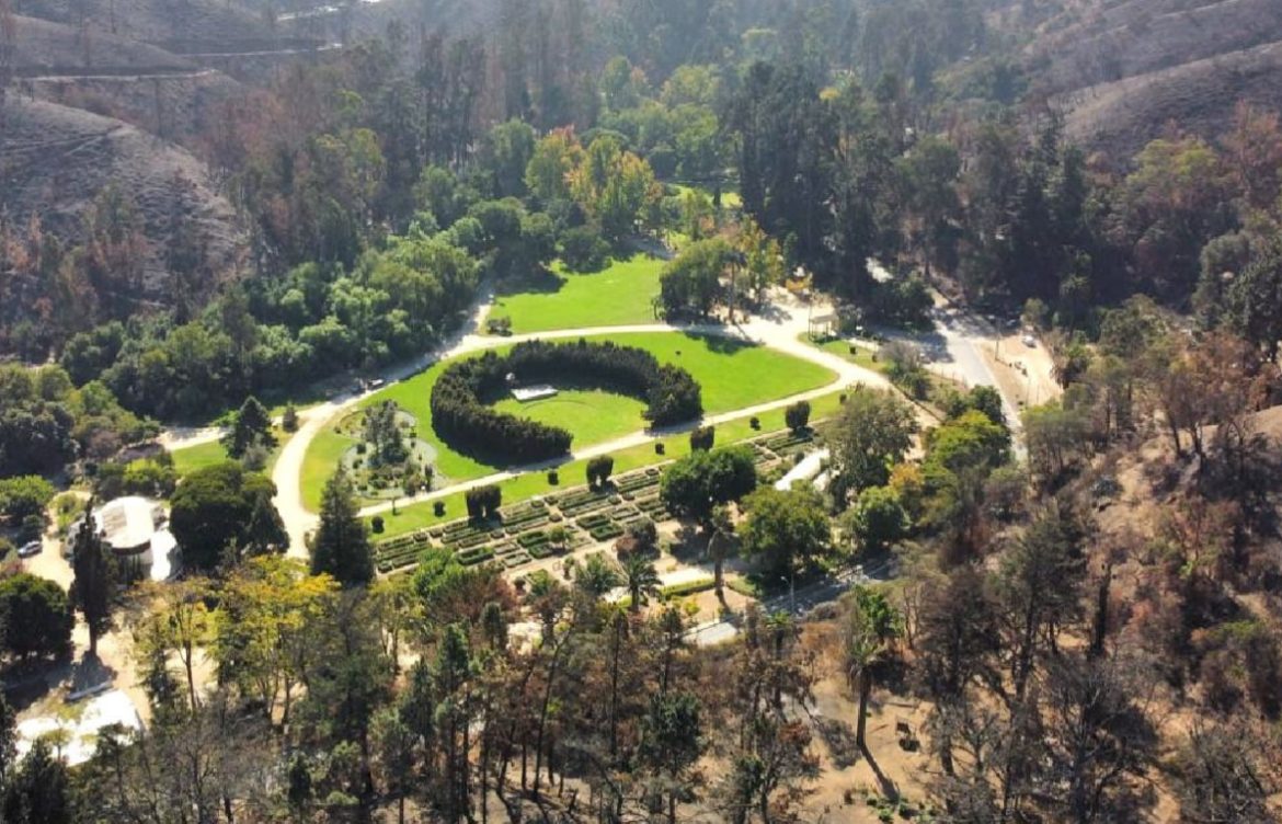 Reconstrucción total del Jardín Botánico de Viña del Mar tardará 4 años