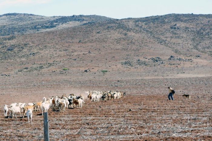 Se acaba el agua en la Región de Coquimbo: “Esto ya es una catástrofe humanitaria”