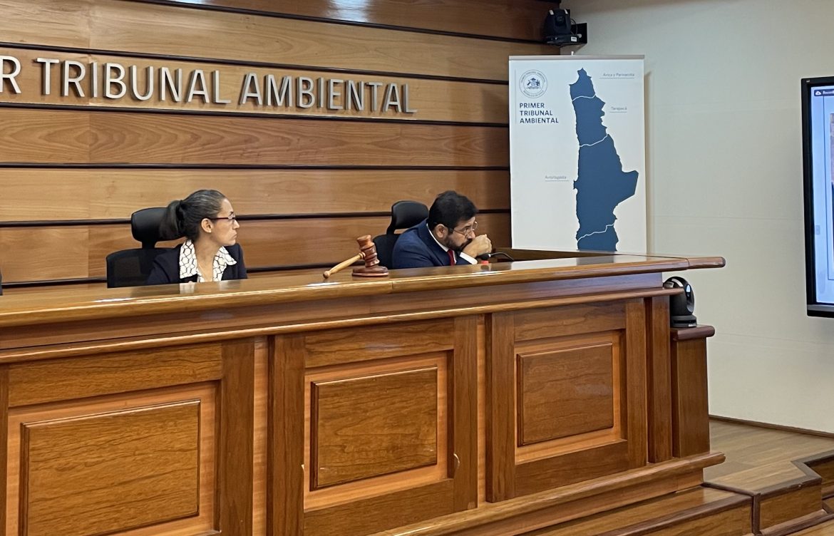 Primer Tribunal Ambiental escuchó los alegatos en reclamación contra autorización dada a “Proyecto Comahue”, cercano a la Chimba