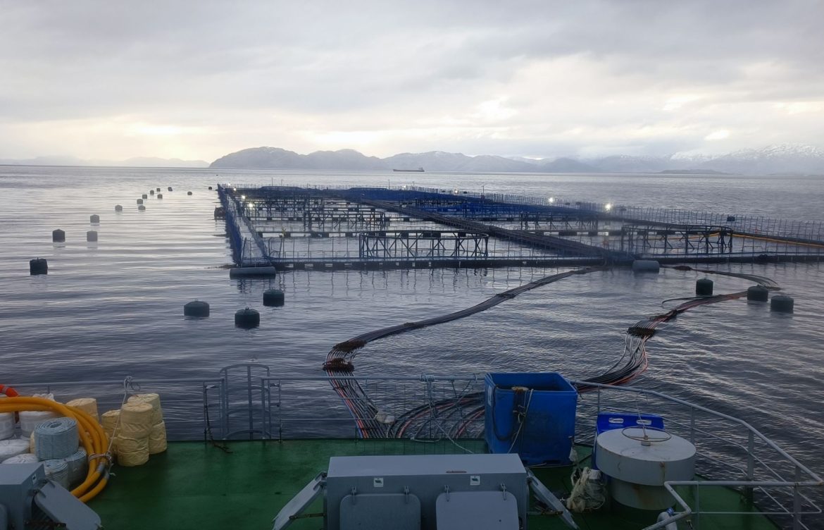 SMA inicia procedimiento sancionatorio contra Blumar por sobreproducción en Magallanes