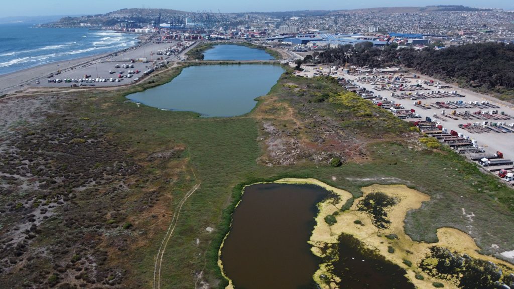 San Antonio tiene nuevo humedal: Ojos de Mar le hace frente a la ampliación del puerto