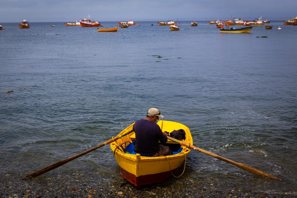 Ley de pesca: comisión fija para el 28 de agosto despacho del proyecto a Sala de la Cámara Baja