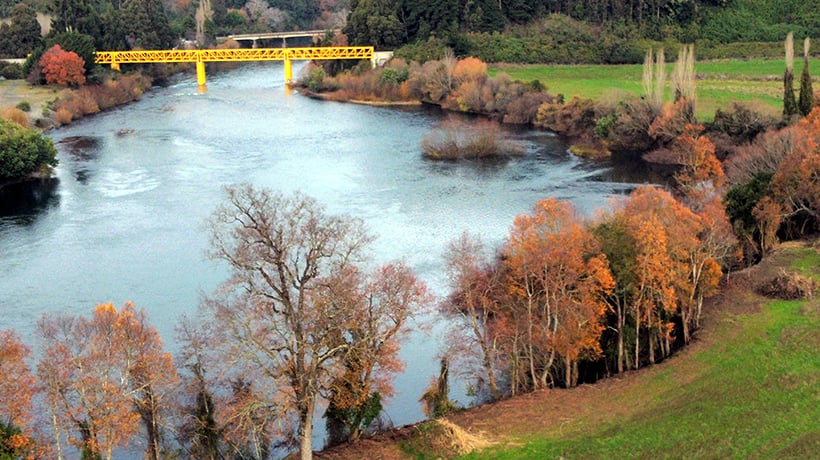 Denuncian una indiscriminada parcelación de terrenos en las riberas del río Rahue