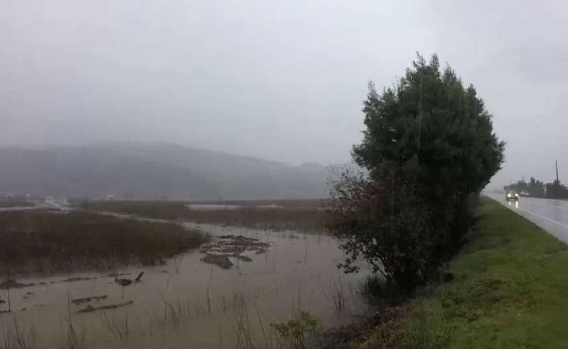 Acogen demanda por daño ambiental en humedal Santo Domingo de Valdivia